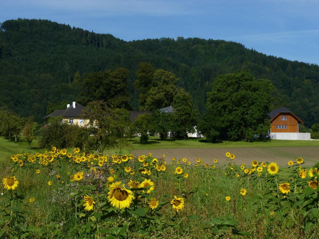 AltmünsterLandgut Wagnerfeldアパートメント エクステリア 写真